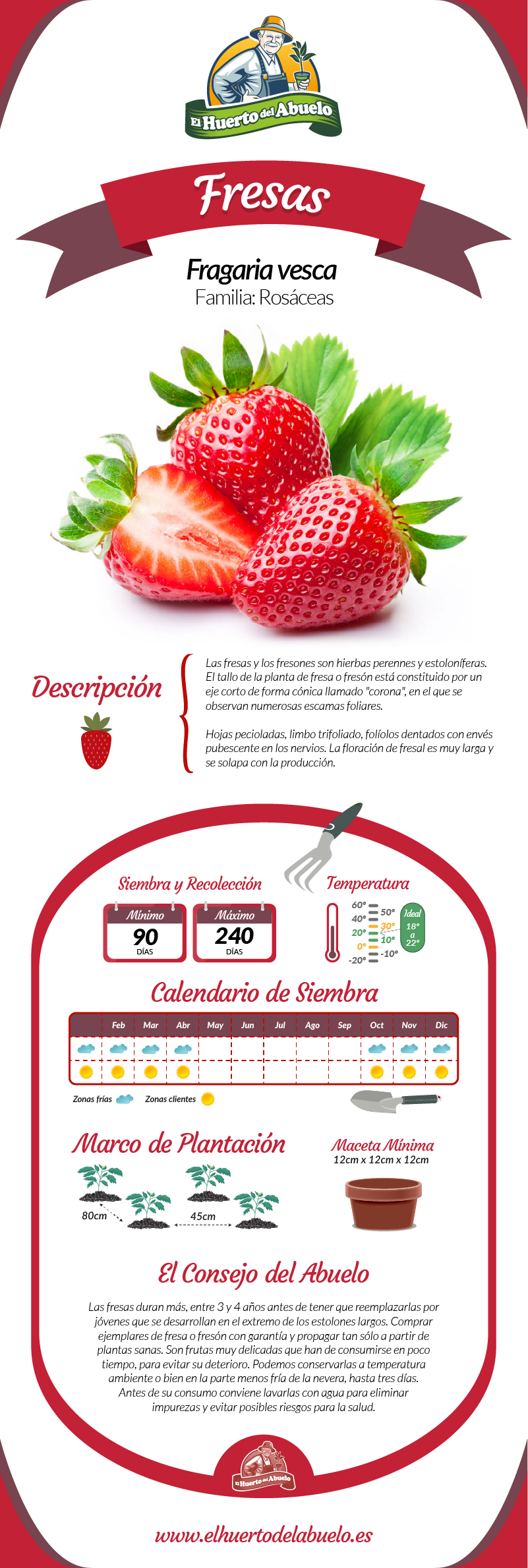 Infografía fresas